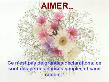 aimer